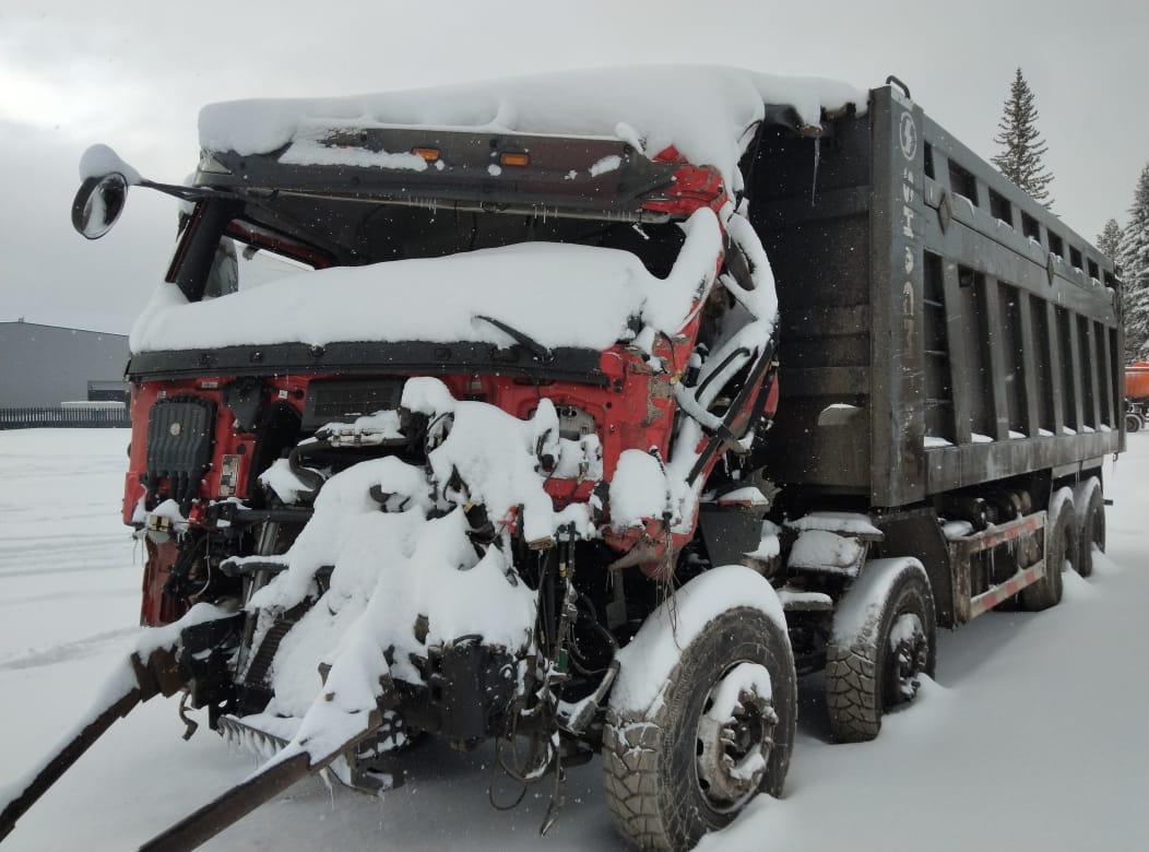 Shacman (Shaanxi) SX* 8x4 Самосвал SX331863366 (Дизельный, 12,5 л, 544 л.с., МТ)