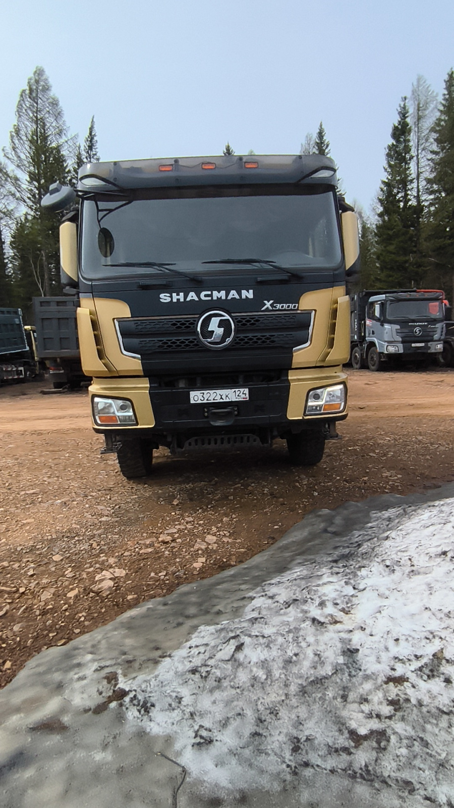 Shacman (Shaanxi) SX* 8x4 Самосвал SX331863366 (Дизельный, 12,5 л, 544 л.с., МТ)