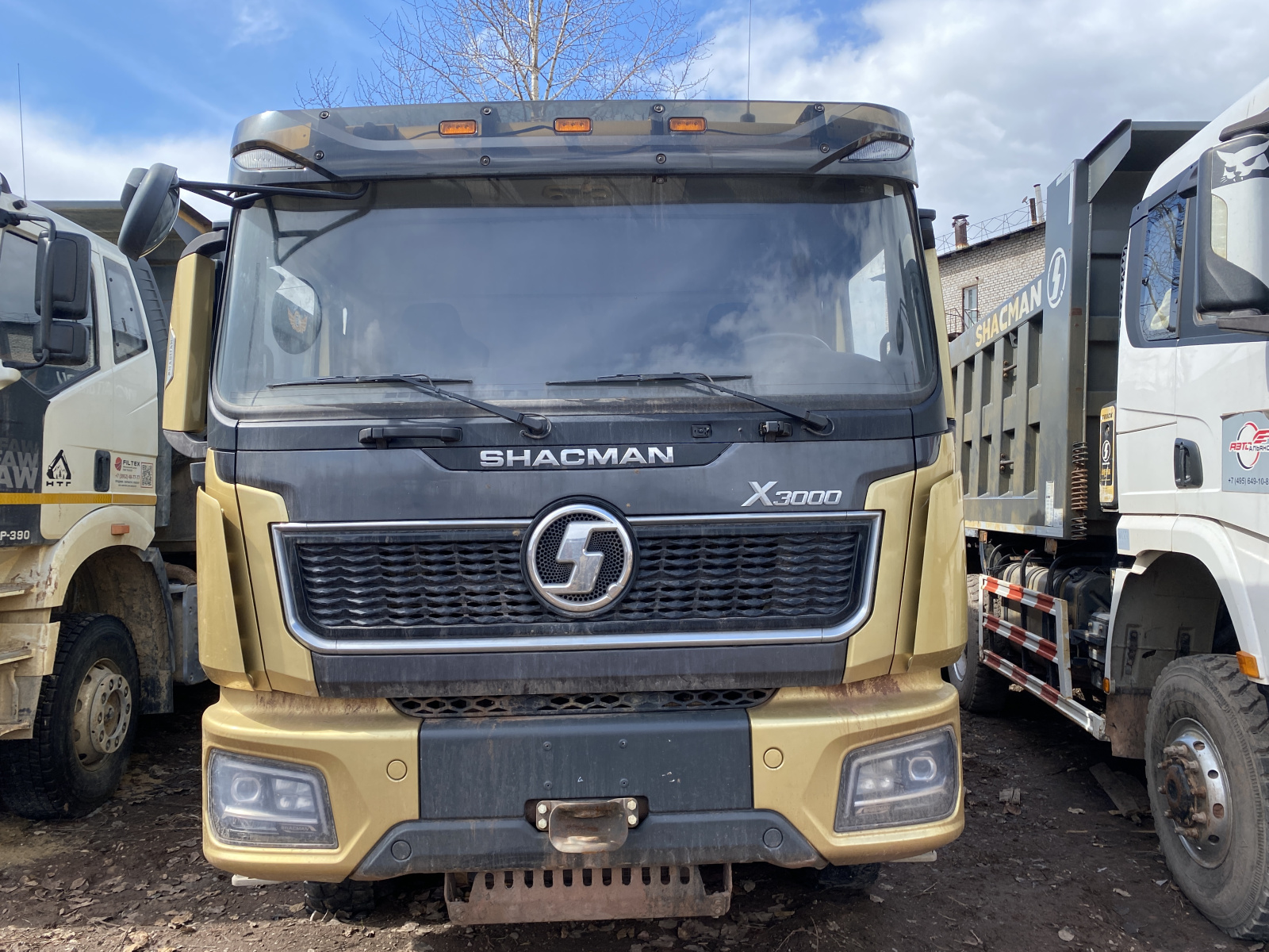 Shacman (Shaanxi) SX* 8x4 Самосвал SX331863366 (Дизельный, 12,5 л, 544 л.с., МТ)