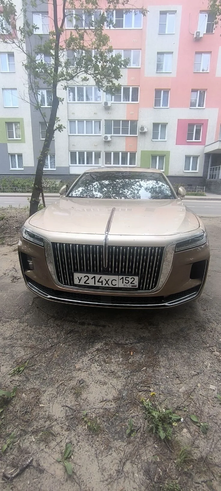 HONGQI H9 2.0Т Deluxe Bi-color