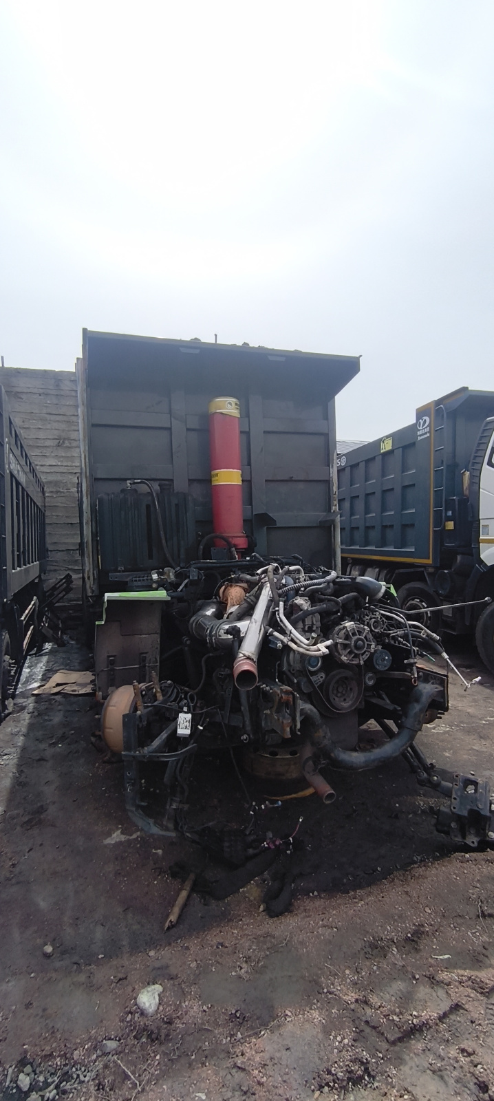 Shacman (Shaanxi) SX* 8x4 Самосвал SX331863366 (Дизельный, 12,5 л, 544 л.с., МТ), 2022г.