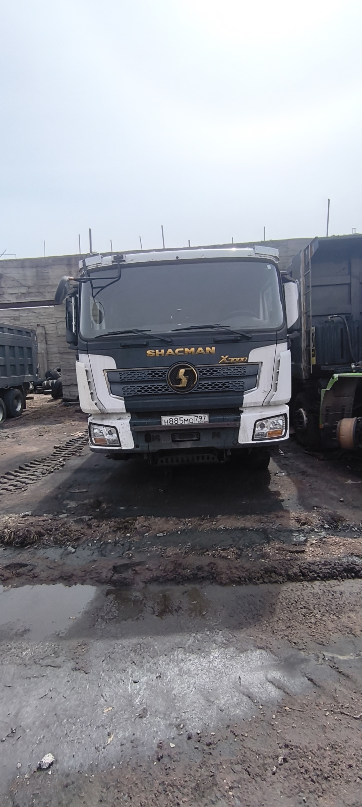 Shacman (Shaanxi) SX* 8x4 Самосвал SX331863366 (Дизельный, 12,5 л, 544 л.с., МТ)