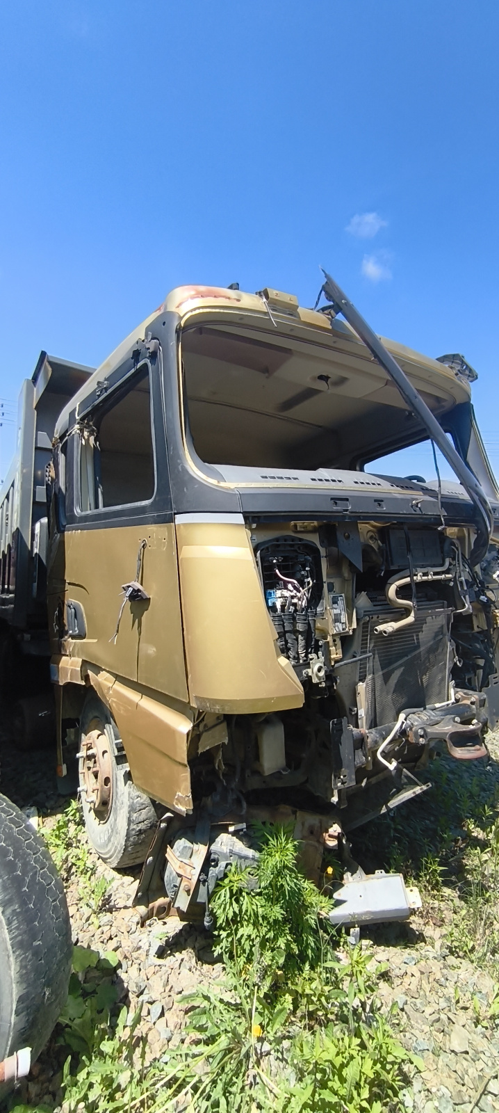 Shacman (Shaanxi) SX* 8x4 Самосвал SX33186T366 (Дизельный, 11,6 л, 369 л.с., МТ)